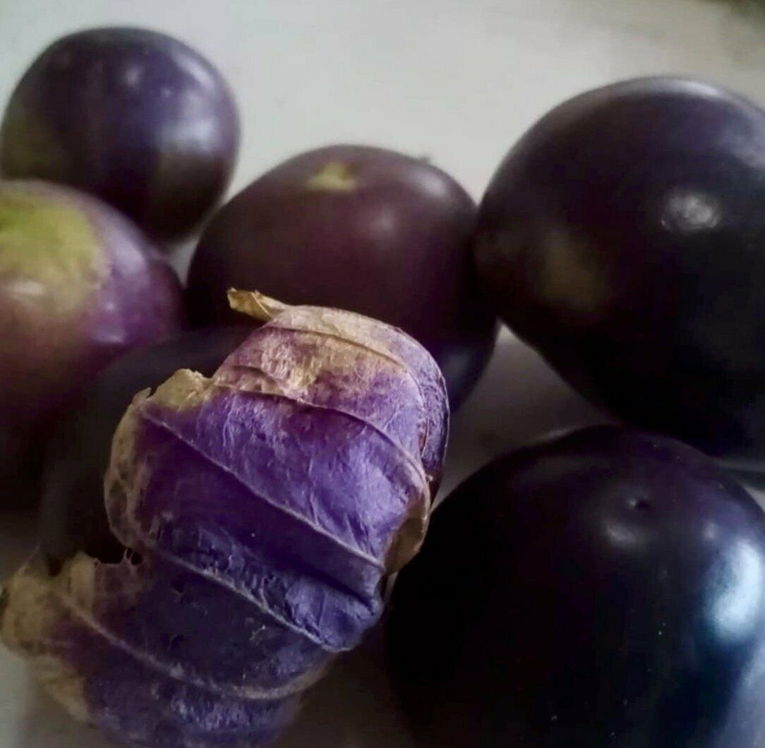 Tomatillo Purple Tomato