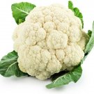 Cauliflower Snowball Used Fresh Garden Salads On Relish Trays Or Cooked 50 Seeds