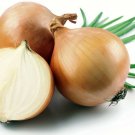 Candy Hybrid Sweet & Mild Onion Incredibly Easy Growing Jumbo Garden 50 Seeds