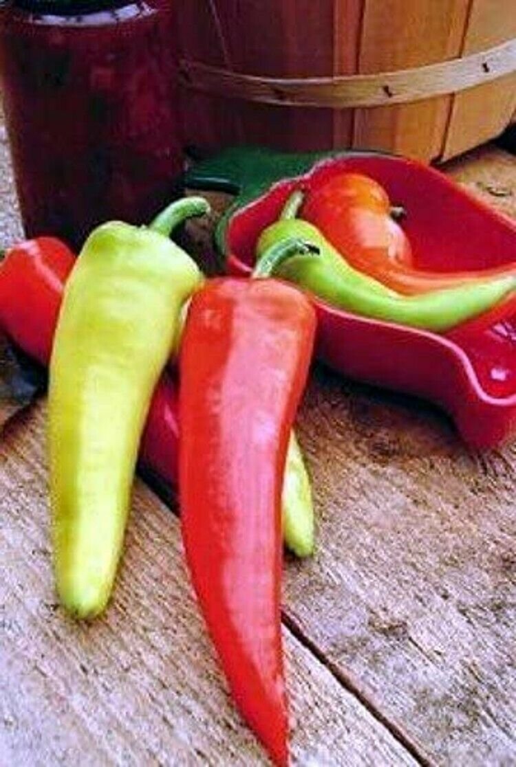 Pepper Long Medium Hot Dante's Hot Mild Colorful Green To Orange To Red 20 Seeds
