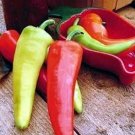 Pepper Long Medium Hot Dante's Hot Mild Colorful Green To Orange To Red 20 Seeds
