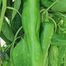 Pepper Nu Hot Mex Chili Joe E. Parker Habanero Increasing Perspiration 30 Seeds