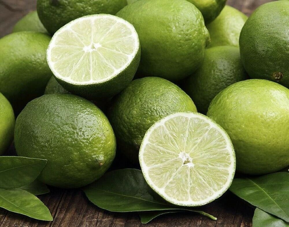 Key Lime Live Plant Tree + Certificate 6" Pot Garden NO Ship TX,FL,AZ,CA,LA,HI