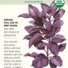 Purple Petra Basil Seeds - 500 mg - Organic
