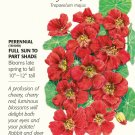 Cherry Rose Jewel Nasturtium Seeds - 3 grams