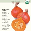Organic Red Kuri Winter Squash Seeds - 2 grams