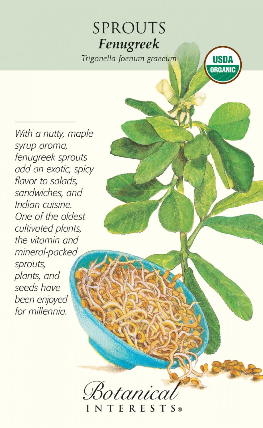 Organic Fenugreek Sprouting Seeds - 20 grams - Botanical Interests