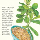 Organic Fenugreek Sprouting Seeds - 20 grams - Botanical Interests