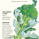 Waltham 29 Broccoli Seeds - 2 grams