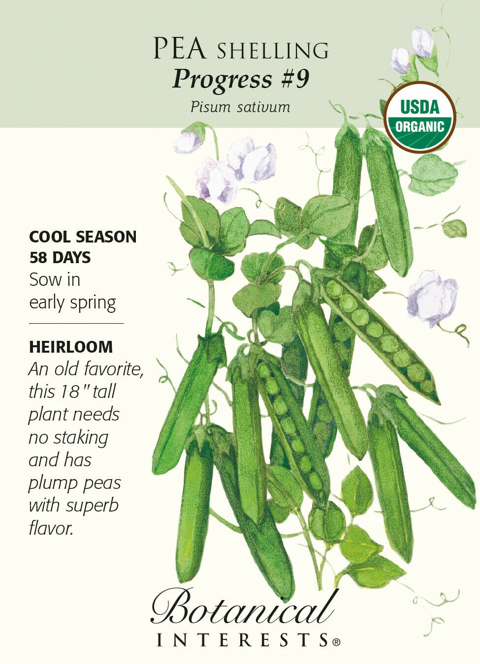 Organic Progress #9 Shelling Pea Seeds - 15 grams