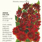Rouge Royale Sunflower Seeds - 20 Seeds