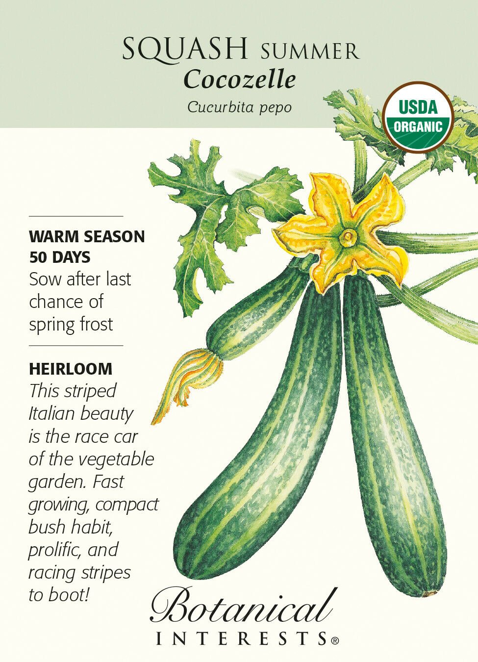 Cocozelle Summer Squash Seeds - 2 grams - Organic