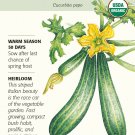 Cocozelle Summer Squash Seeds - 2 grams - Organic