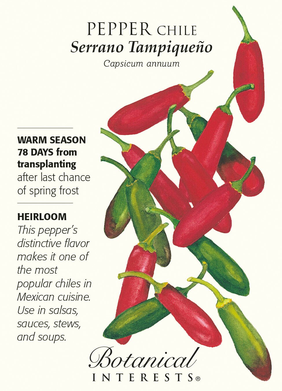 Serrano Tampiqueno Chile Pepper Seeds - 400 mg