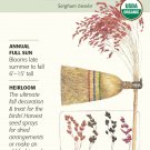 Amish Rainbow Broom Corn - 2 grams - Organic