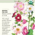Organic Outhouse Hollyhock Seeds - 300 Milligrams