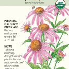 Organic Purple Coneflower Seeds - 400 mg - Echinacea