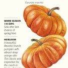 Cinderella French Pumpkin Seeds - 3 grams - Heirloom