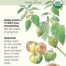 Organic Pineapple Tomatillo Seeds - 250 mg