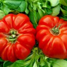 RARE GIANT OXHEART TOMATO HUGE TASTY AMERICAN HEIRLOOM NON-GMO JUICY 30+ SEEDS