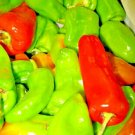 SWEET CUBAN PEPPER RARE AUTUMN FRUITS VEGETABLE HEIRLOOM 50 SEEDS NON-GMO USA