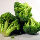 Broccoli- - 100 Seeds - 50% off sale