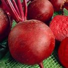 Beets- Detroit Red- 100 Seeds - 50% off sale