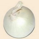 Onion- Sweet White Spanish- 200 Seeds -