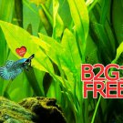 Betta guppies B2G1FREE wort Plantago major Live Fish Tank Plants Aquarium Plant