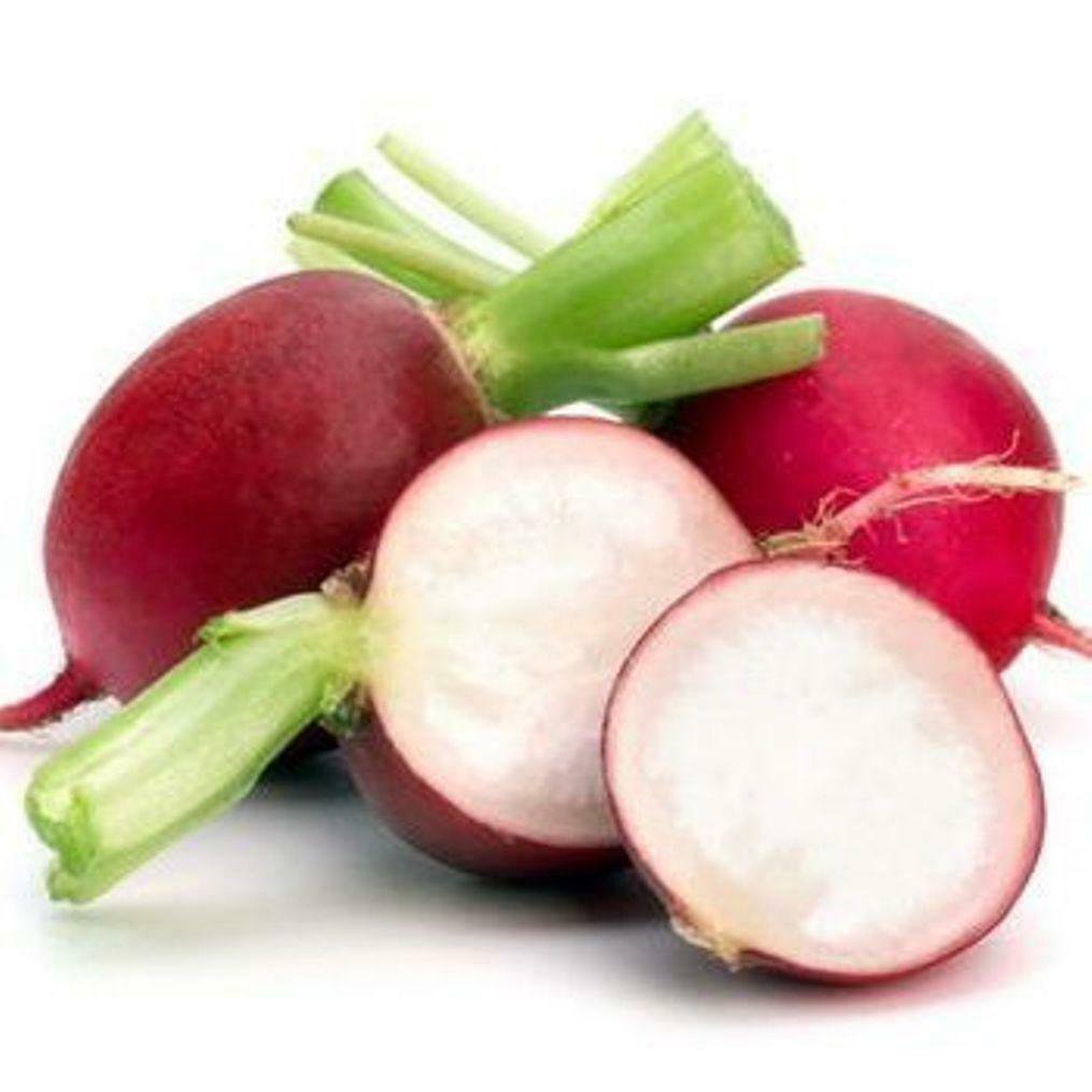 Radish Early Scarlet Globe Seeds Microgeen Or Garden Bin119c 