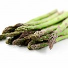 Mary Washington Heirloom Asparagus Seeds - MAY BE TREATED - B172