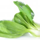 White Stem Chinese Pak Choi Cabbage Heirloom Seed - B76