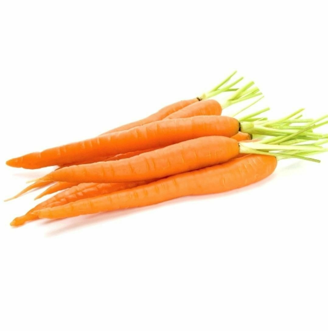 Carrot Imperator Heirloom Vegetable Seeds - B81
