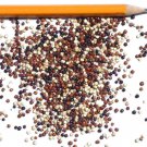 Quinoa Tri-Color Heirloom Seeds - B338