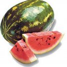 Watermelon- Sugar Baby- 30 Seeds- BOGO 50% off SALE