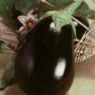 Eggplant- Black Beauty- 100 Seeds- BOGO 50% off SALE
