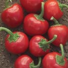 100 Seeds Large Red Hot Cherry Pepper Seeds