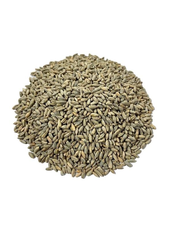 Fresh Rye Berries 5 Pound Bag High in Fiber and Iron Made in USA