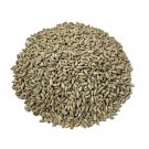 Fresh Rye Berries 5 Pound Bag High in Fiber and Iron Made in USA