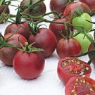 Chocolate Cherry Tomato Seeds (40+ Seeds) Non GMO Vegetable Fruit Herb Flowe