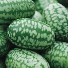 Cucamelon Seeds 30 Seeds Grow This Exotic and Rare Garden Fruit Mouse Melo