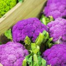 100 Purple Broccoli Seeds Fresh Garden Seeds Made in USA. Ships from Iowa