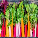 Bright Lights Swiss Chard Seeds 200+ Seeds Rare Colorful Garden