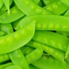 Mammoth Melting Sugar Pod Snow Pea Garden Seeds 100 Seeds ~ NonGMO Heirloom