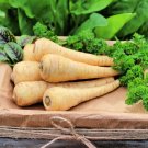Parsnip Seeds 100+ Seeds Heirloom Garden Vegetable Seeds