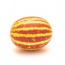 Rich Sweetness Melon Seeds Made in USA Ships from Iowa (20 Seeds)