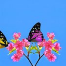 20 Cherry Blossom Bush Seeds Sakura Seeds Stunning Blooms