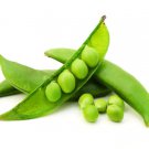 Sugar Daddy Snow Pea Seeds 100 Seeds to Grow Vegetable Seeds for Planting G