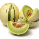 10 White and Green Melon Seeds Very Rare