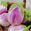Rosa Bianca Eggplant Seeds 50+ Heirloom Seeds Per Packet  Non GMO Seeds Bota